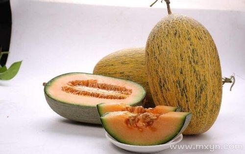 梦见香瓜是什么预兆