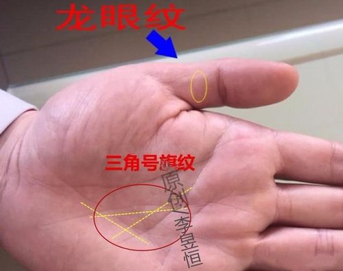 帝王手相三角令旗纹长什么样