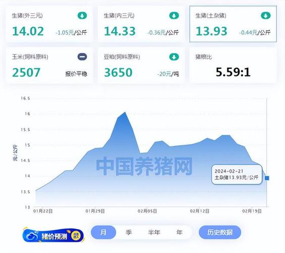 生肖属猪的人2021年2月份财运走势