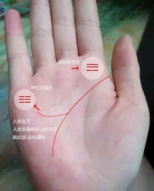 智慧线中间分叉必有财