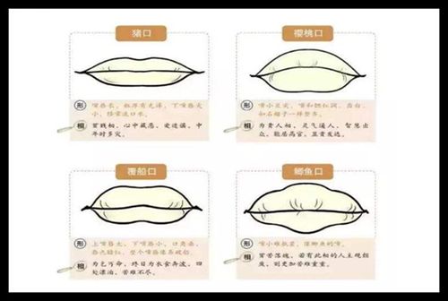 面相十六种嘴唇面相图解析运势