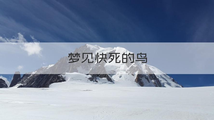 梦见鸟死了是什么预兆