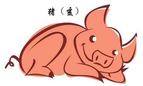 属猪人今年的感情问题
