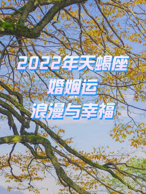 天蝎座期待怎样的自由婚姻