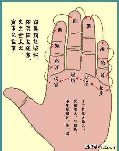你的大运如何？教你长生十二宫断大运口诀