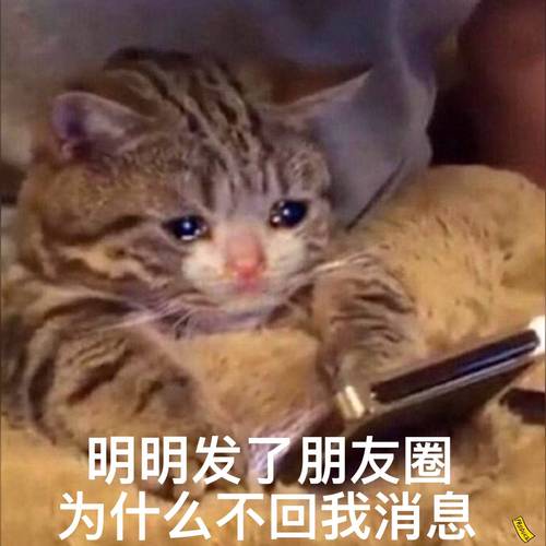 为什么不发消息