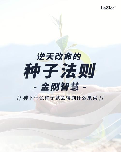 改运气最快的方法