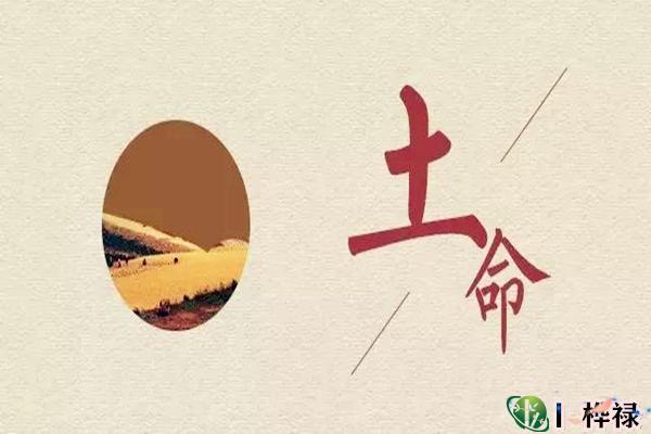 土命人揭秘 哪个土命好