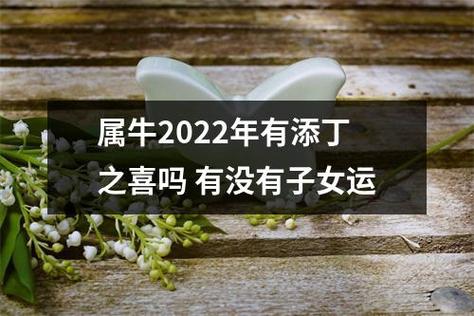 属牛2022年有添丁之喜吗