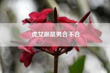 虎女跟鼠男在一起对谁不利