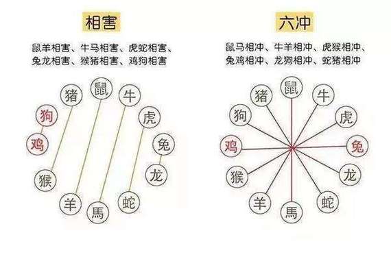 虎猴相冲到底有多严重