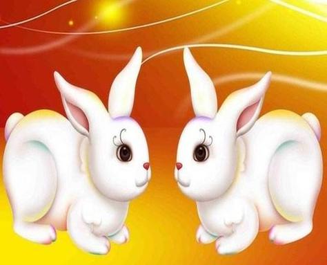 2020鼠年4月生肖属兔人的运势好吗,巨大转变不断向好