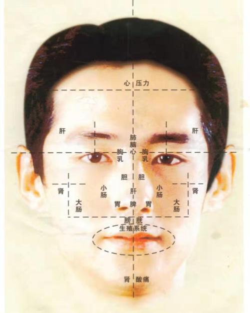 面相学看人中分析
