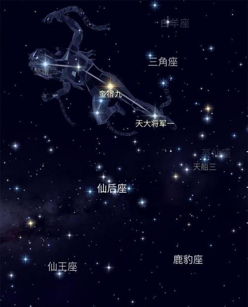 大熊座属于哪个星系