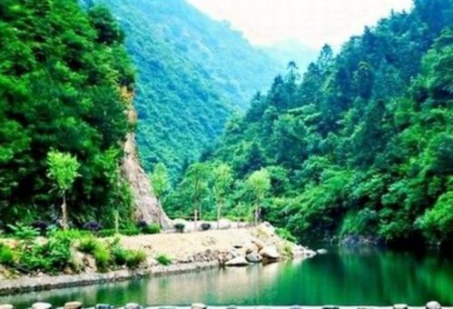属虎孩子有山有水有树林的名字