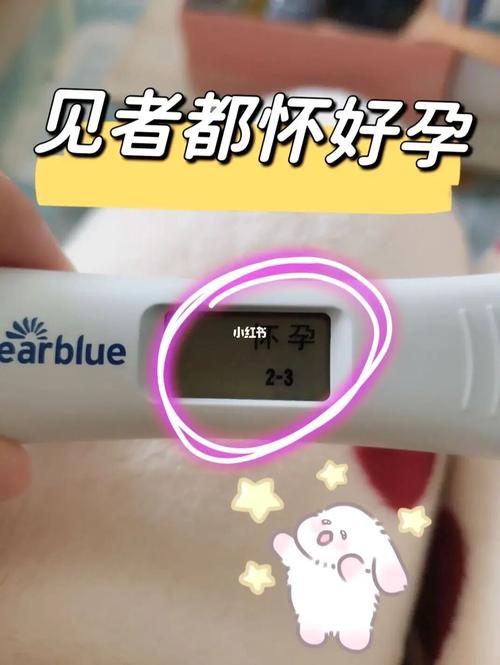 生个虎尾宝宝好还是兔头宝宝好