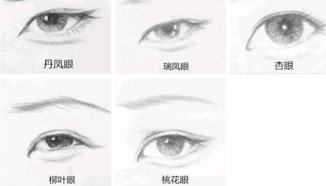 丹凤眼的特点是什么