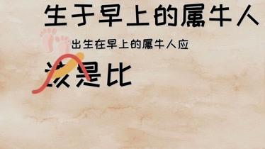 属牛人最苦命出生时辰