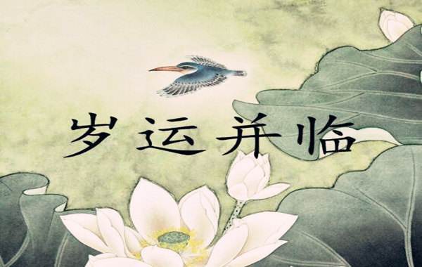 49岁属猪有灾如何破
