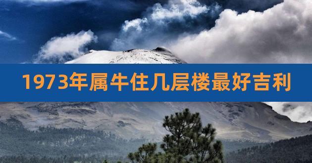 属牛的建房什么年最好