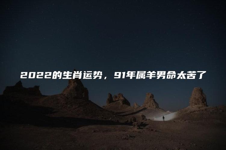 91年属羊男命太苦了