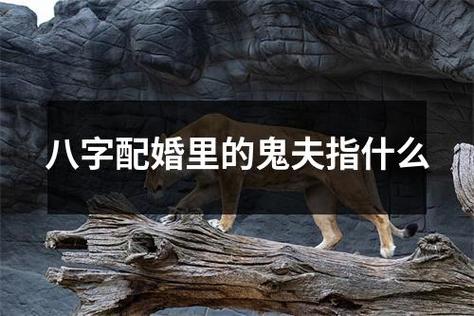 八字配婚里的鬼夫指什么
