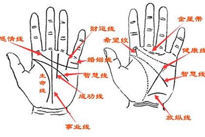 从一个人手相分析是不是有发横财的运势