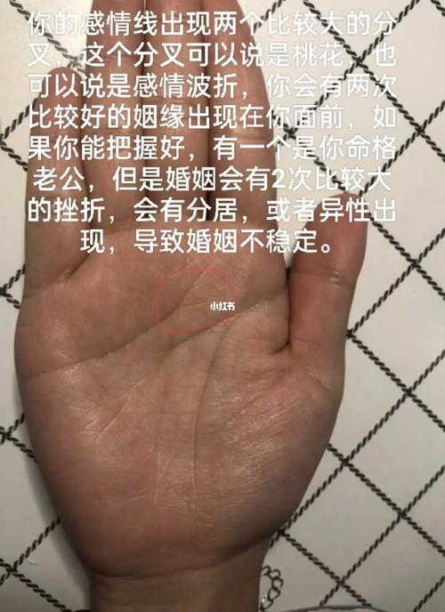 感情线的末端分叉婚姻不幸吗