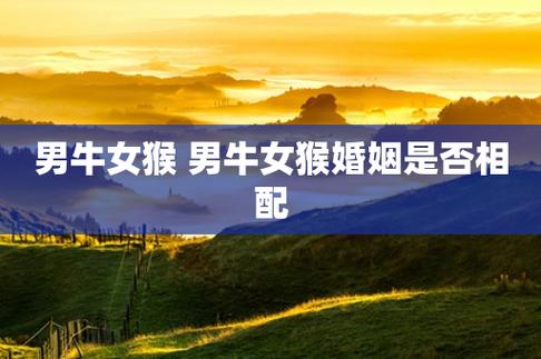 女牛男猴结婚会幸福吗?属猴与什么属相相冲?