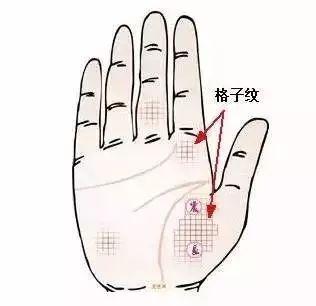 手相格子纹看人生性格