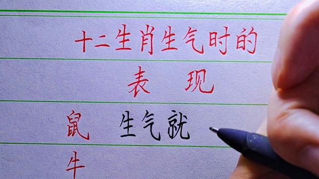 不轻易生气 专注于自己努力的生肖