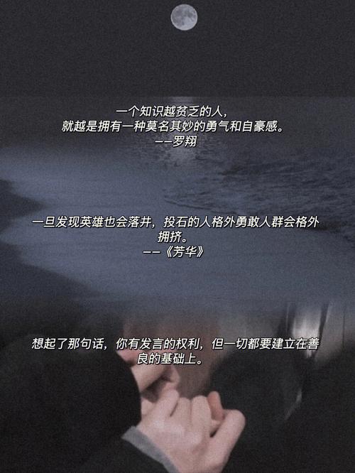 属马明星遭遇键盘侠攻击会怎么反应