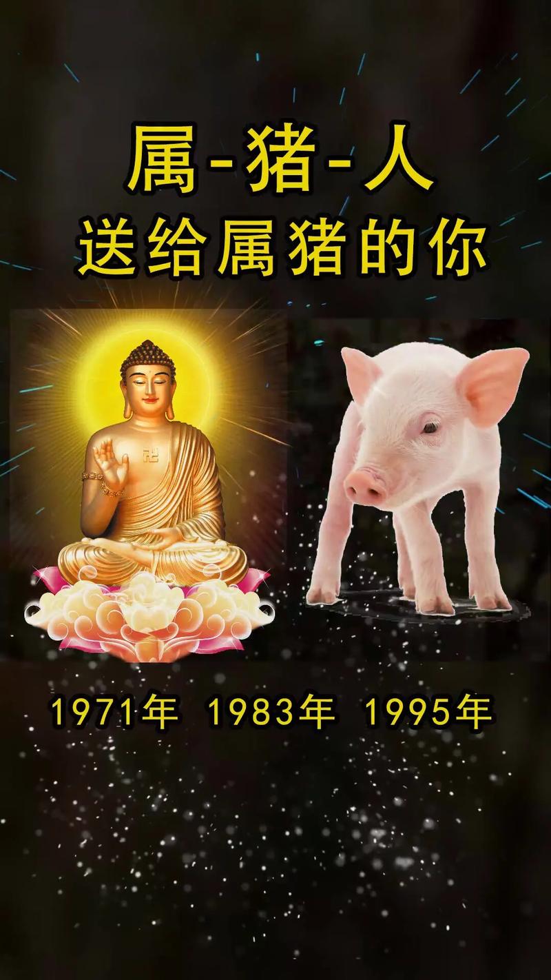 猪属什么生肖多少岁