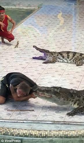 梦见被鳄鱼咬有什么预兆
