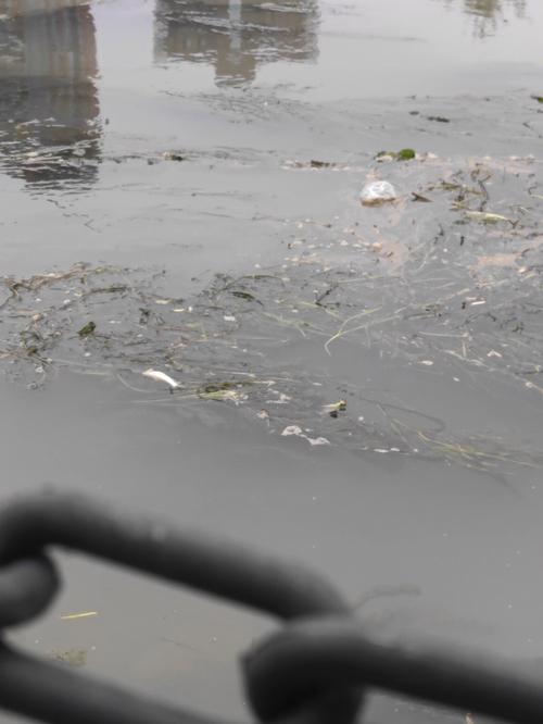 梦见大河涨水是什么意思,梦见下雨涨水是什么意思