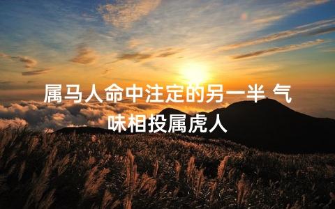 属马人命中注定的另一半