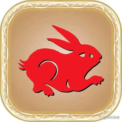 生肖兔最好的手机号码