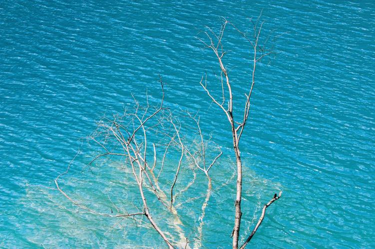 河海湖泊任你遨游,梦到这些水体意味着什么?
