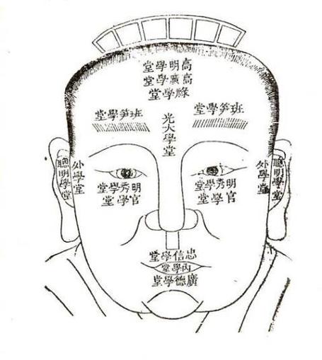 从面相学上看你是否属于聪明人