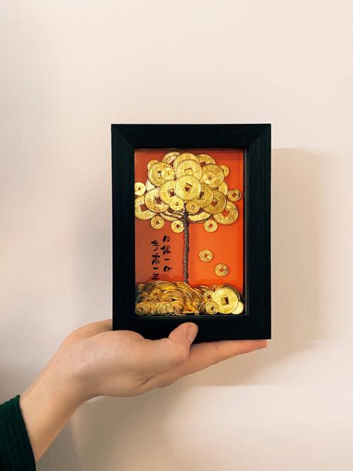 发财树放硬币还是纸币