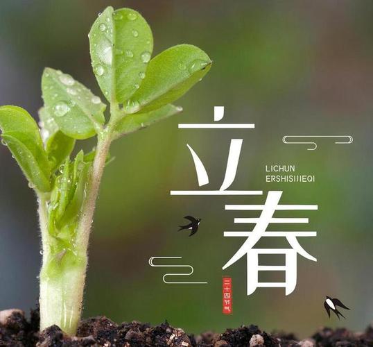 年前打春是什么意思