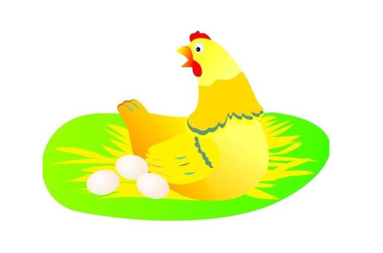 做梦梦见母鸡下蛋,梦见母鸡下蛋是怎么回事