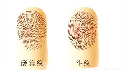 手指头上全是簸箕是什么意思