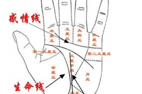 手相图解:生命线上有三角纹代表什么意思
