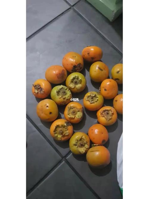 梦见摘柿子,需要注意什么