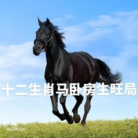 属马常常因为什么缘故而下错站