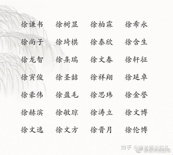 徐姓男孩比较大气的名字两字