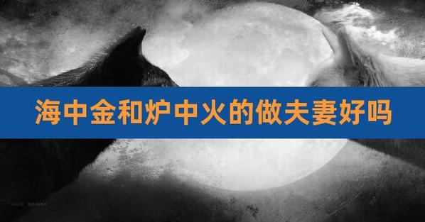 炉中火和海中金的姻缘