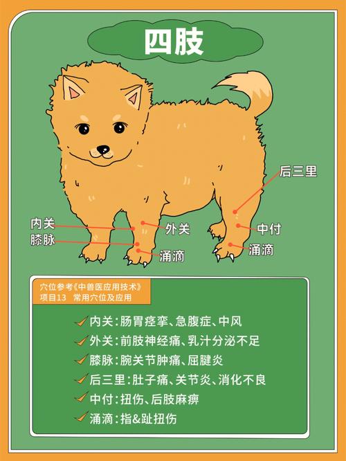 适合生肖狗的瘦身美容按摩法