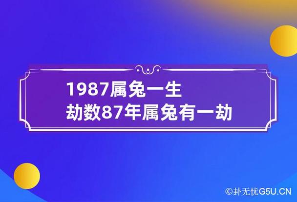 87年属兔一生都有哪些劫难